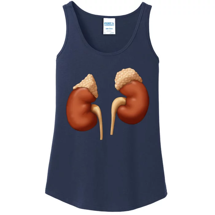 Human Kidneys With Adrenal Glands Medical Illustration Ladies Essential Tank