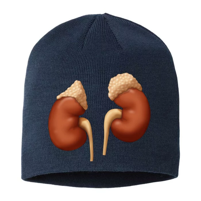 Human Kidneys With Adrenal Glands Medical Illustration 8 1/2in Sustainable Knit Beanie