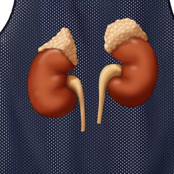 Human Kidneys With Adrenal Glands Medical Illustration Mesh Reversible Basketball Jersey Tank