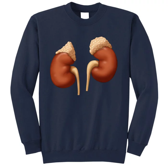 Human Kidneys With Adrenal Glands Medical Illustration Tall Sweatshirt