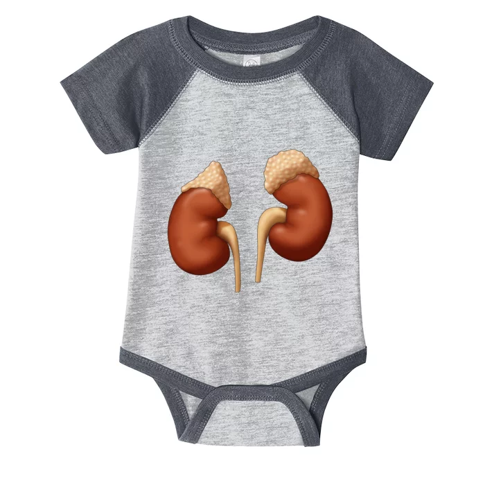 Human Kidneys With Adrenal Glands Medical Illustration Infant Baby Jersey Bodysuit