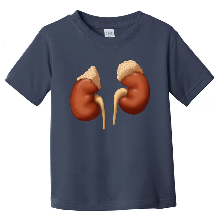 Human Kidneys With Adrenal Glands Medical Illustration Toddler T-Shirt