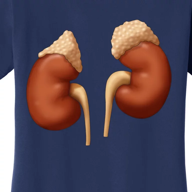 Human Kidneys With Adrenal Glands Medical Illustration Women's T-Shirt