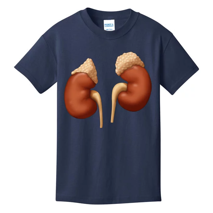 Human Kidneys With Adrenal Glands Medical Illustration Kids T-Shirt