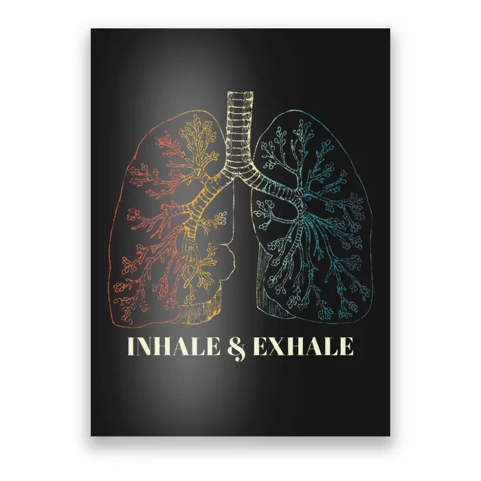 Human Lungs Anatomy Inhale Oxygen And Exhale Carbon Dioxide Poster