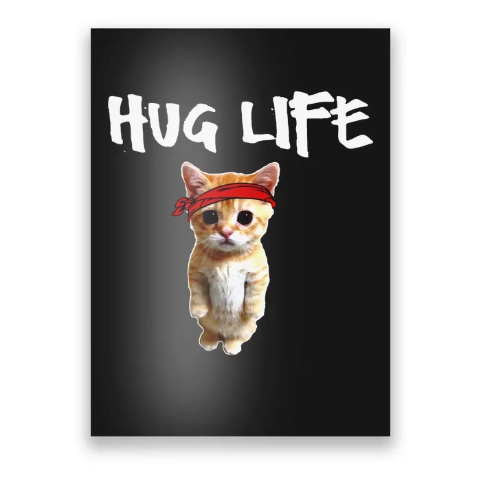 Hug Life Funny Awesome Cool Cute Cat Kitten Tee Poster