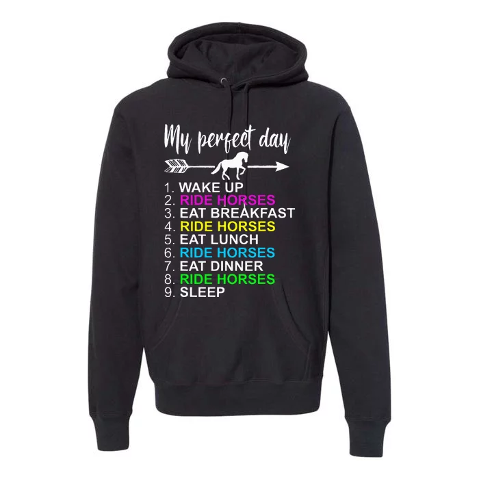 Horse Lover Horseback Riding Horse Lover Gift Premium Hoodie