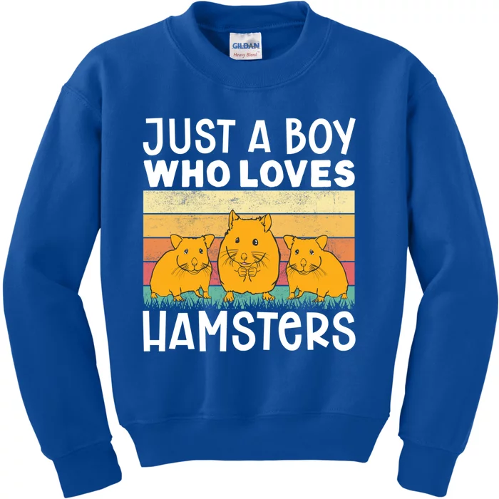 Hamster Lover Just A Boy Who Loves Hamsters Retro Hamster Gift Kids Sweatshirt