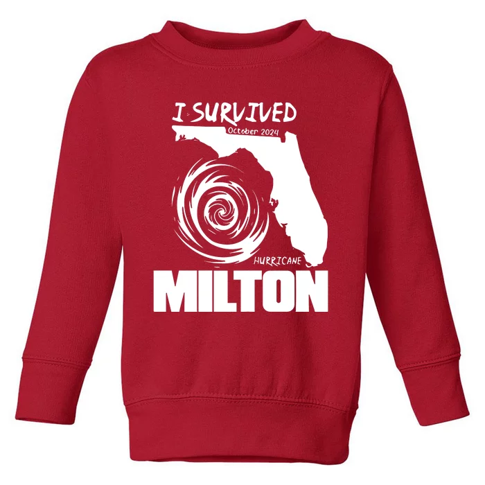 Hurricane Milton 2024 Stronger Than The Storm Toddler Sweatshirt