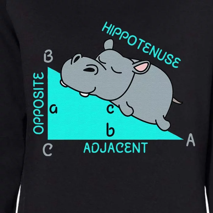 Hippo Math Analytical Funny Sarcasm Humor Teacher Womens California Wash Sweatshirt