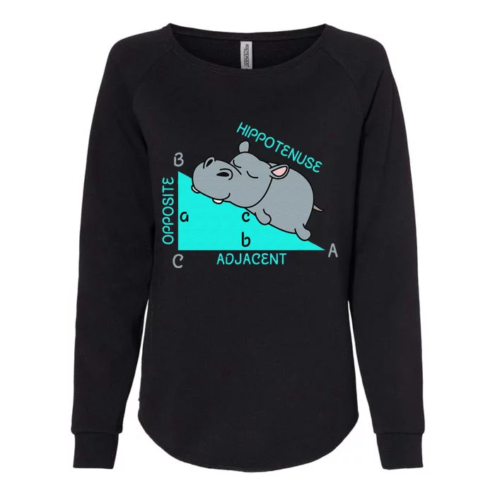 Hippo Math Analytical Funny Sarcasm Humor Teacher Womens California Wash Sweatshirt