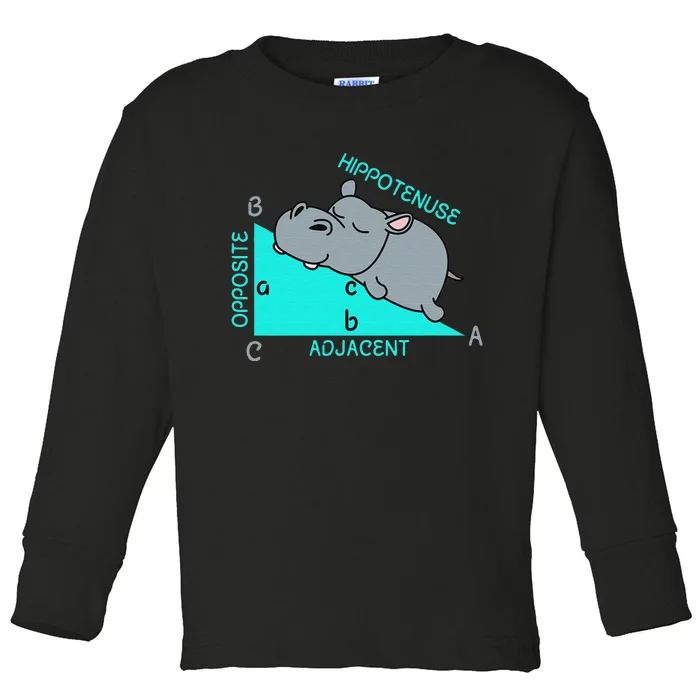 Hippo Math Analytical Funny Sarcasm Humor Teacher Toddler Long Sleeve Shirt