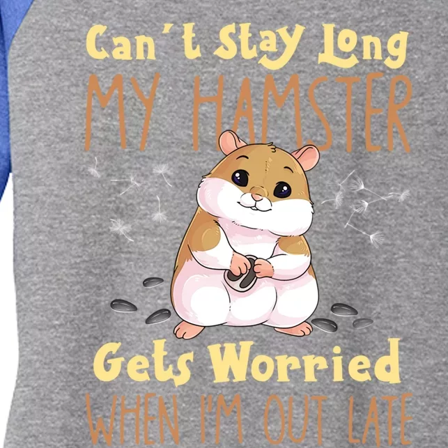 Hamster Meme Design For Pet Hamster Owners Gift Women's Tri-Blend 3/4-Sleeve Raglan Shirt