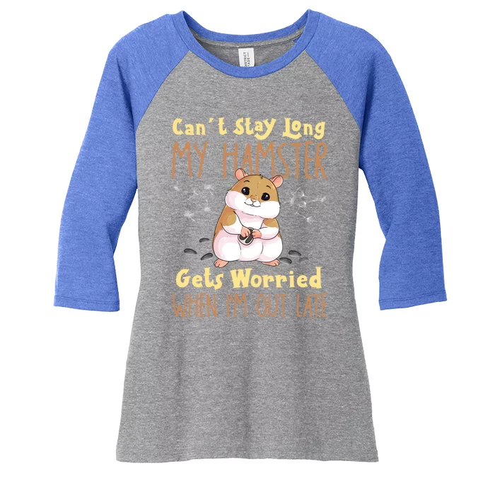 Hamster Meme Design For Pet Hamster Owners Gift Women's Tri-Blend 3/4-Sleeve Raglan Shirt