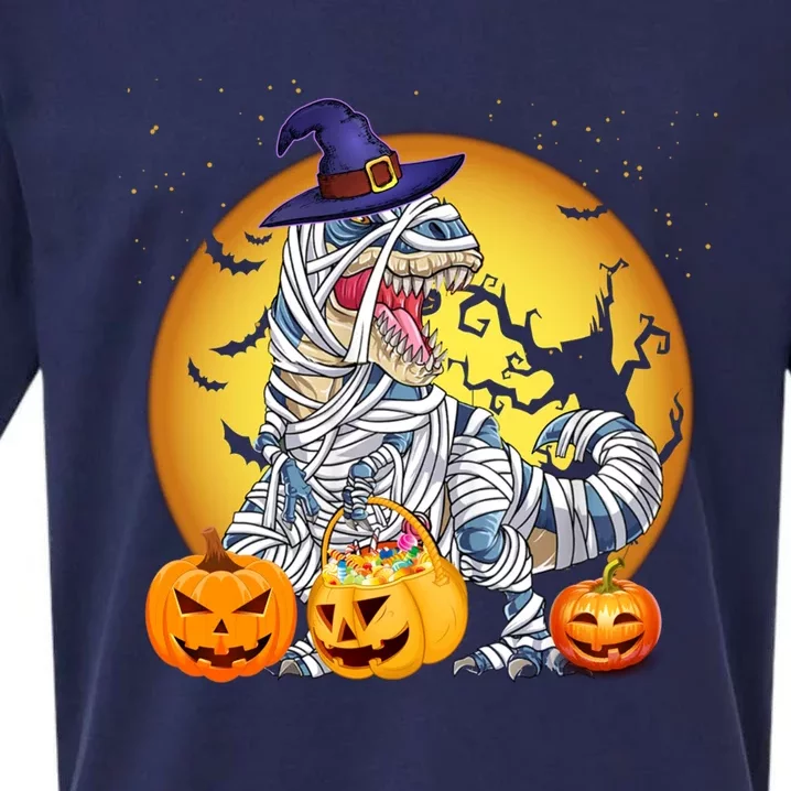 Halloween Meaningful Gift Dinosaur T Rex Mummy Witch Pumpkin Meaningful Gift Sueded Cloud Jersey T-Shirt