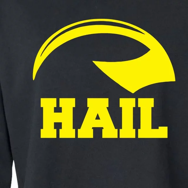 Hail Michigan Helmet Football Victors Cropped Pullover Crew