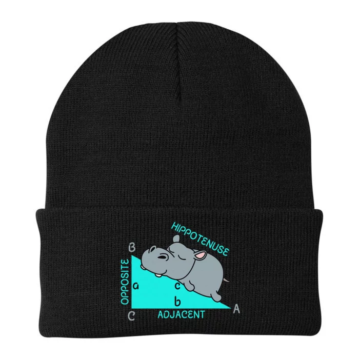 Hippotenuse Math Mathematics Teacher Joke fun Saying Knit Cap Winter Beanie