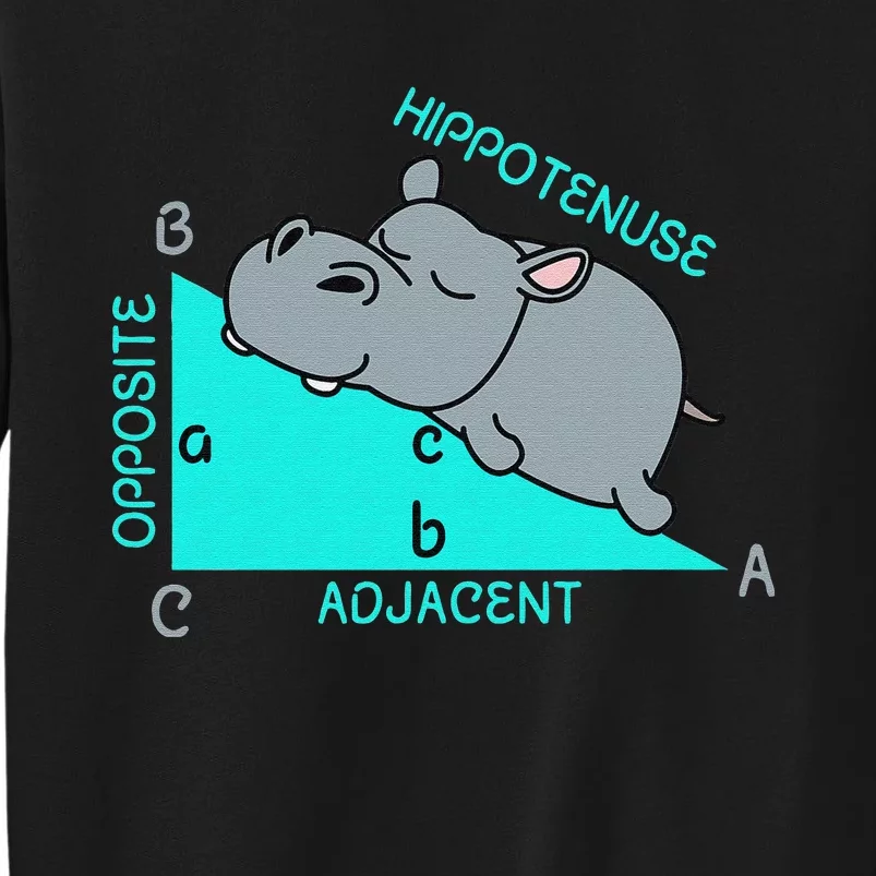 Hippotenuse Math Mathematics Teacher Joke fun Saying Tall Sweatshirt