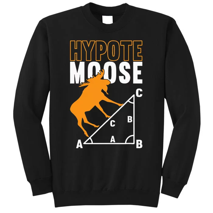 Hyotemoose Mathematician Math Teacher Sweatshirt