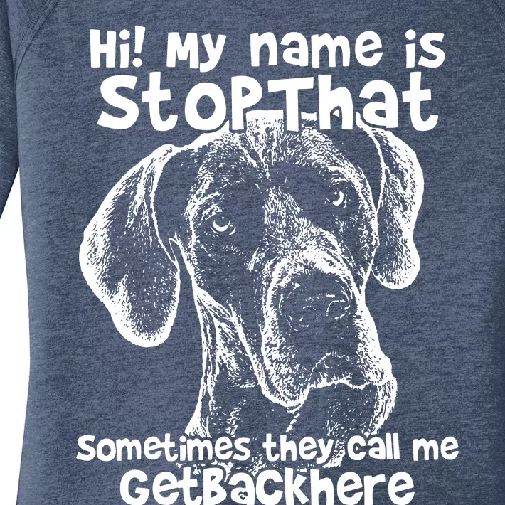 Hi My Name Is Stop That Funny Great Dane Women's Perfect Tri Tunic Long Sleeve Shirt