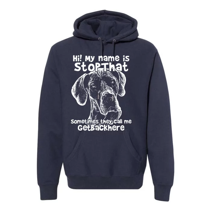 Hi My Name Is Stop That Funny Great Dane Premium Hoodie