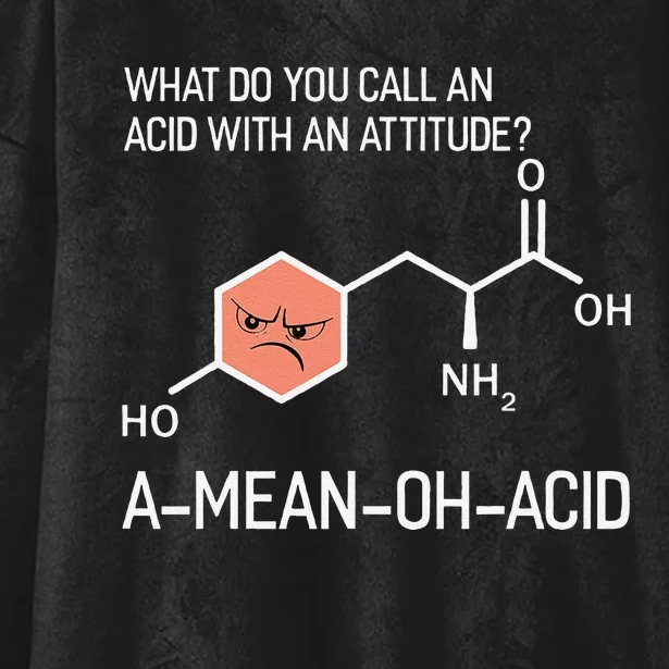 Humor Nerdy Chemistry Giftsamino Acid Hooded Wearable Blanket