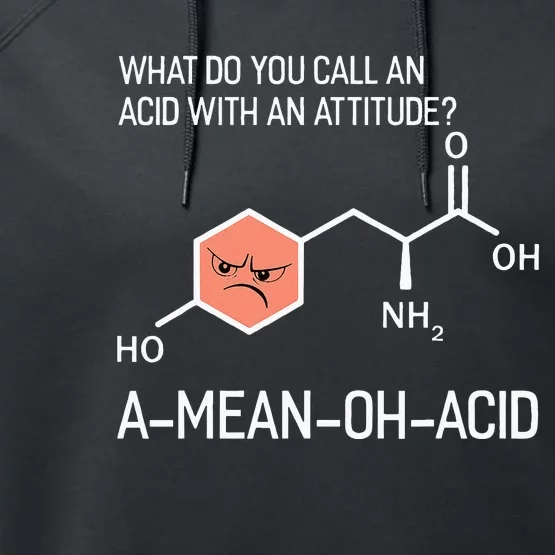 Humor Nerdy Chemistry GiftsAmino Acid Performance Fleece Hoodie