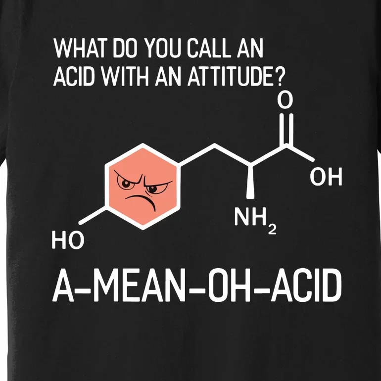 Humor Nerdy Chemistry T Gifts Amino Acid For Women Men Premium T-Shirt