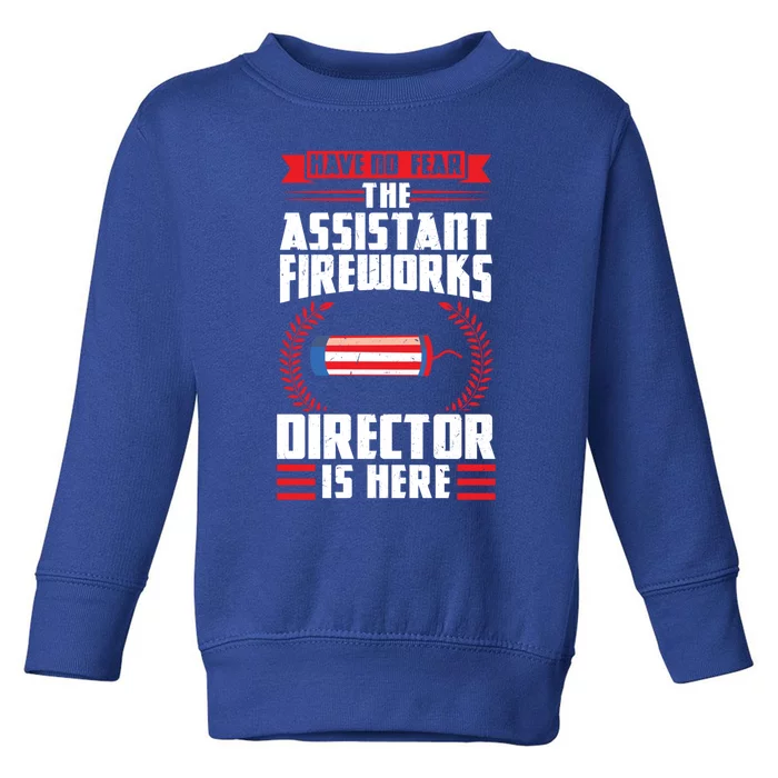 Have No Fear The Assistant Fireworks Director Firework Usa Funny Gift Toddler Sweatshirt