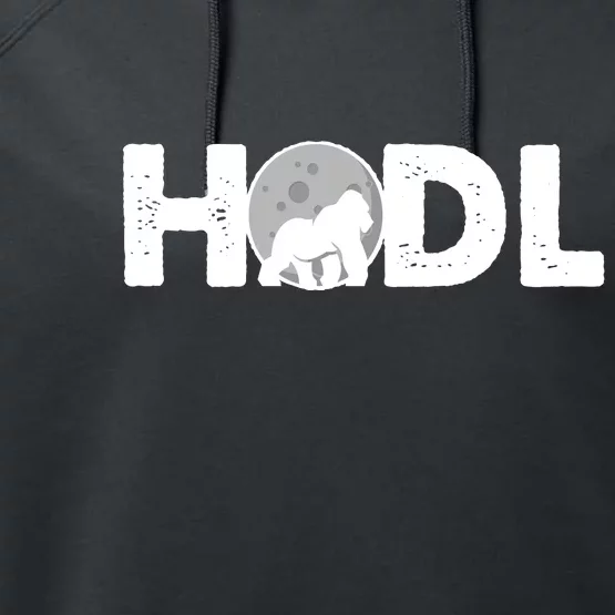 Hodl Stonk to the Moon Ape Crypto Currency Performance Fleece Hoodie