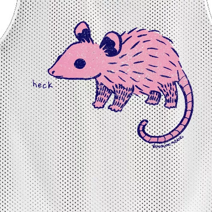 Heck Opossum Funny Animal Gift Mesh Reversible Basketball Jersey Tank