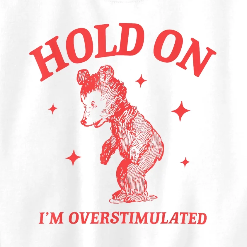 Hold On IM Overstimulated Funny Bear Meme Kids Sweatshirt