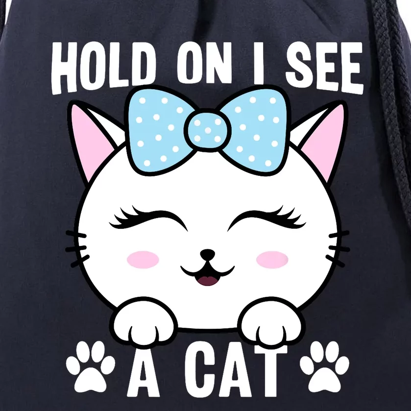 Hold On I See A Cat Funny Cat Lovers Kitten Sarcastic Saying Drawstring Bag