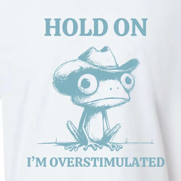 Hold On Im Overstimulated Frog Sueded Cloud Jersey T-Shirt