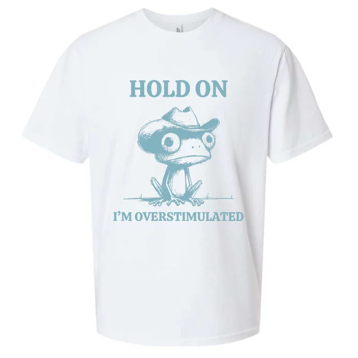 Hold On Im Overstimulated Frog Sueded Cloud Jersey T-Shirt