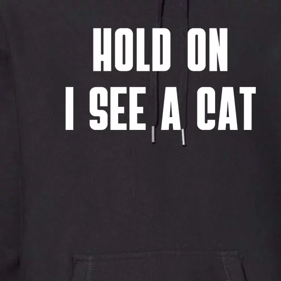 Hold On I See A Cat Cat Person Cat Lover Premium Hoodie