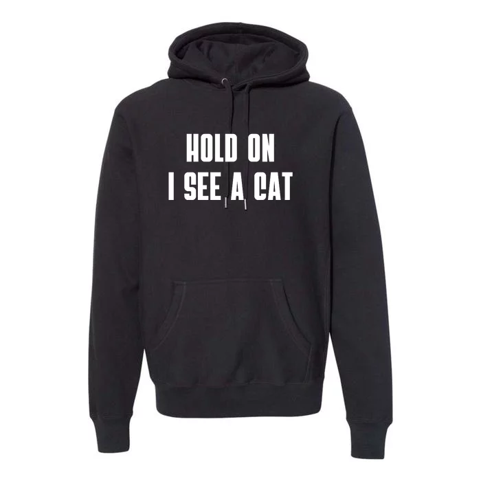 Hold On I See A Cat Cat Person Cat Lover Premium Hoodie