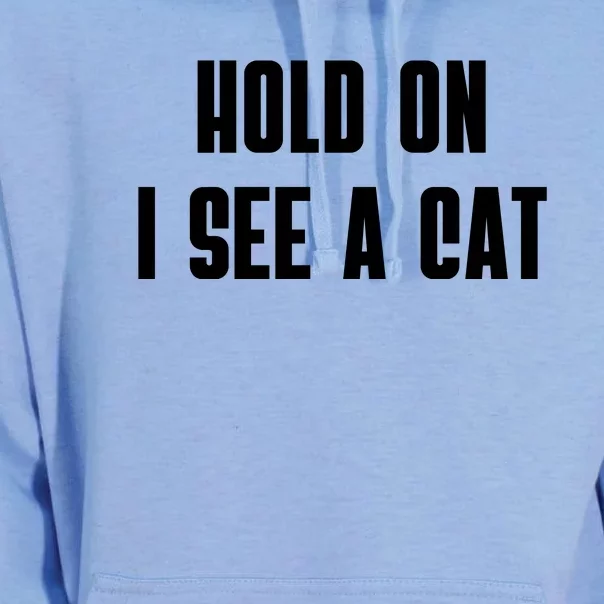 Hold On I See A Cat Cat Person Cat Lover Unisex Surf Hoodie