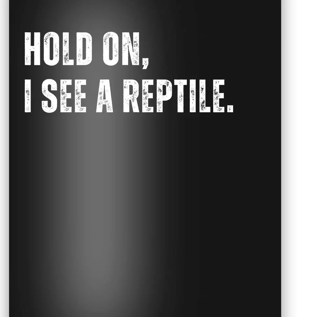 Hold On I See A Reptile Poster