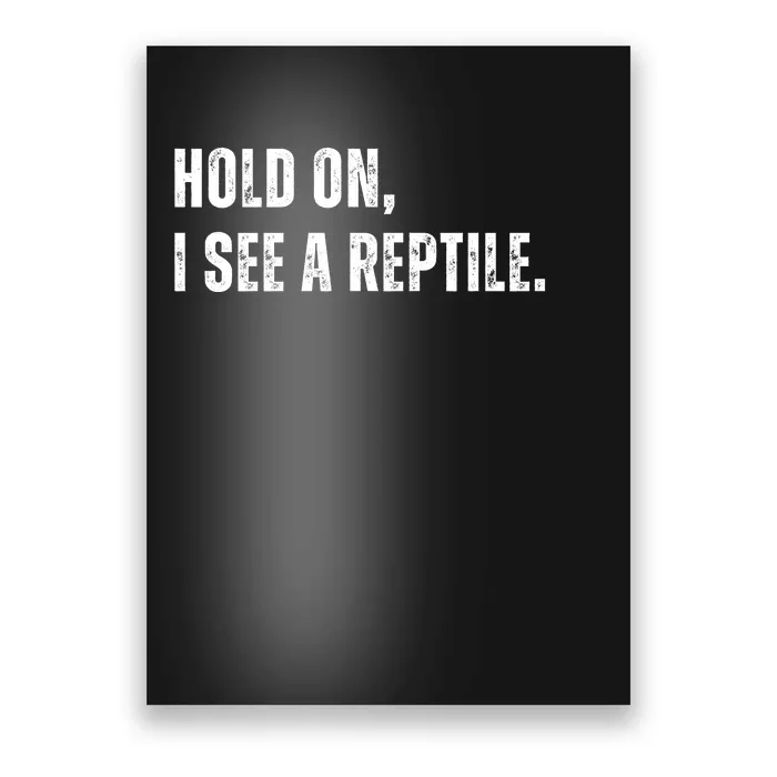 Hold On I See A Reptile Poster