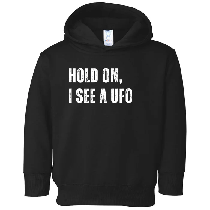 Hold On I See A Ufo Toddler Hoodie