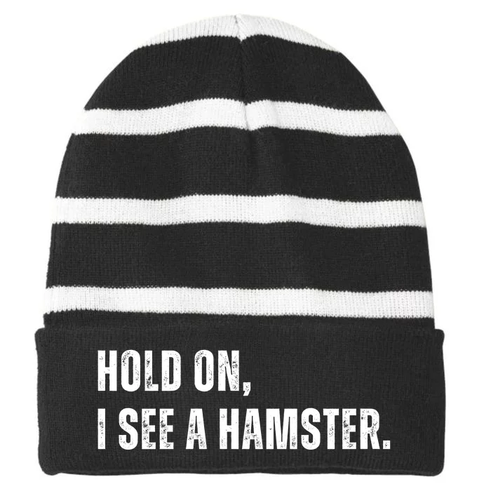 Hold On I See A Hamster Striped Beanie with Solid Band