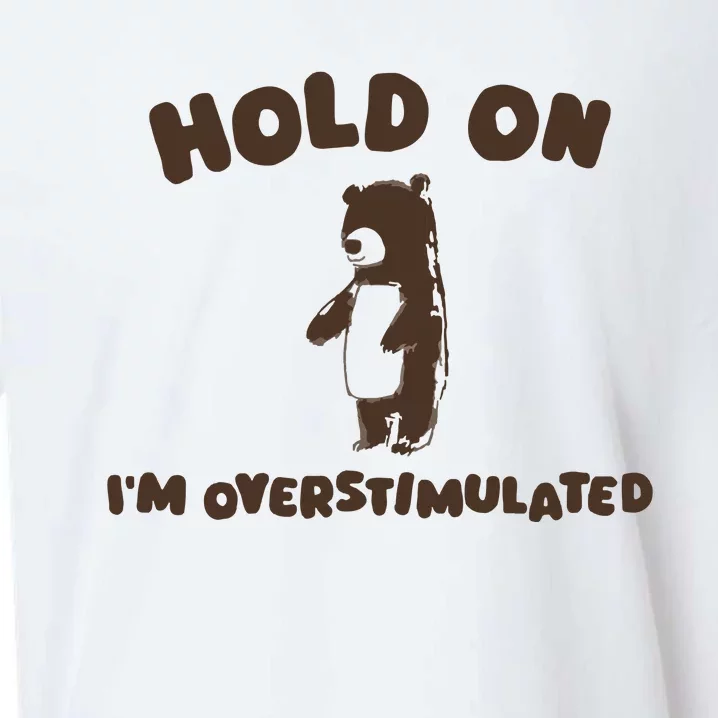 Hold On IM Overstimulated Sueded Cloud Jersey T-Shirt