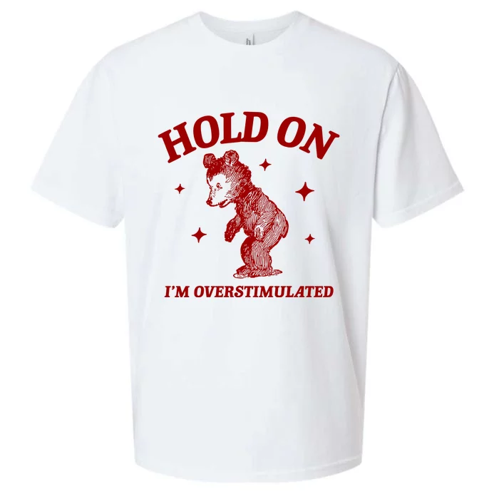 Hold On I’M Overstimulated Bear Sueded Cloud Jersey T-Shirt