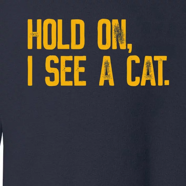 Hold On I See A Cat, Funny Cat Lovers Sarcastic Sayings Toddler Sweatshirt