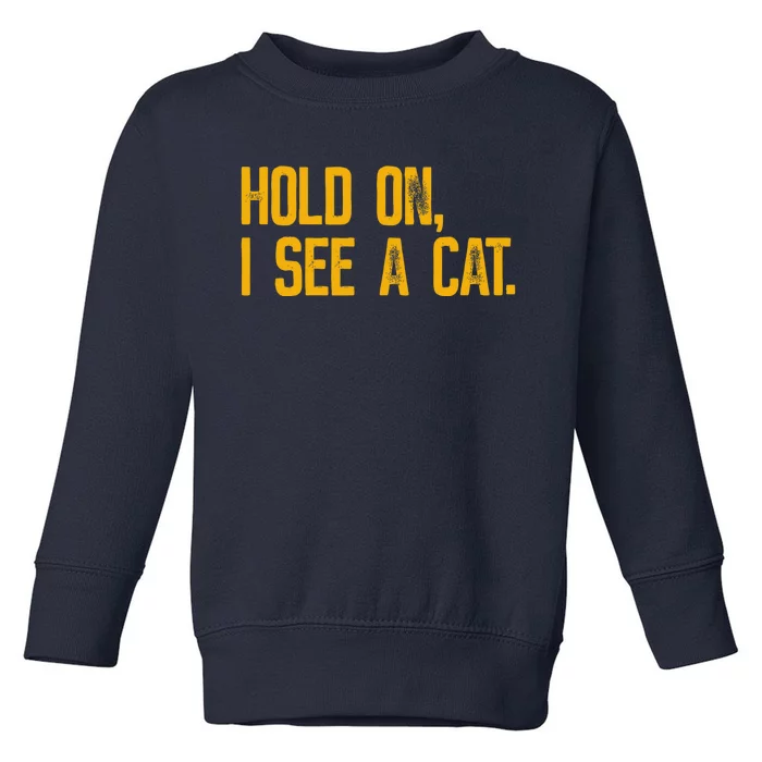 Hold On I See A Cat, Funny Cat Lovers Sarcastic Sayings Toddler Sweatshirt