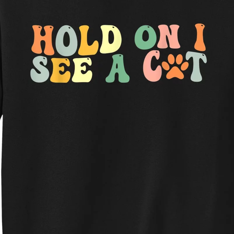 Hold On I See A Cat Funny Cat Lovers Sayings Valentines Day Sweatshirt