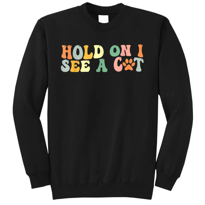 Hold On I See A Cat Funny Cat Lovers Sayings Valentines Day Sweatshirt