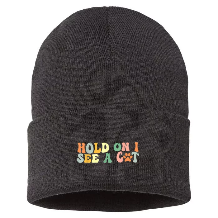 Hold On I See A Cat Funny Cat Lovers Sayings Valentines Day Sustainable Knit Beanie