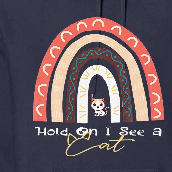 Hold On I See A Cat Cute Rainbow Cat Premium Hoodie